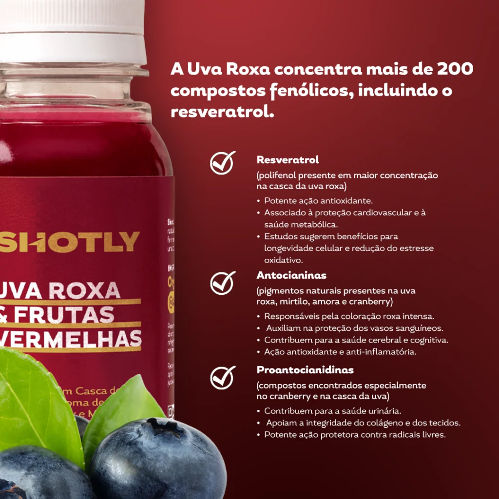Kit Mix Shot Cúrcuma e Gengibre + Matchá-Mate e Hortelã + Shot Uva Roxa e Frutas Vermelhas — imagem 7 de 15
