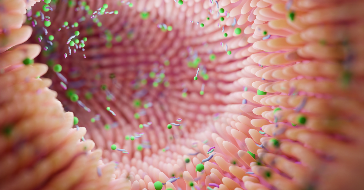 O Eixo Intestino–Cérebro
