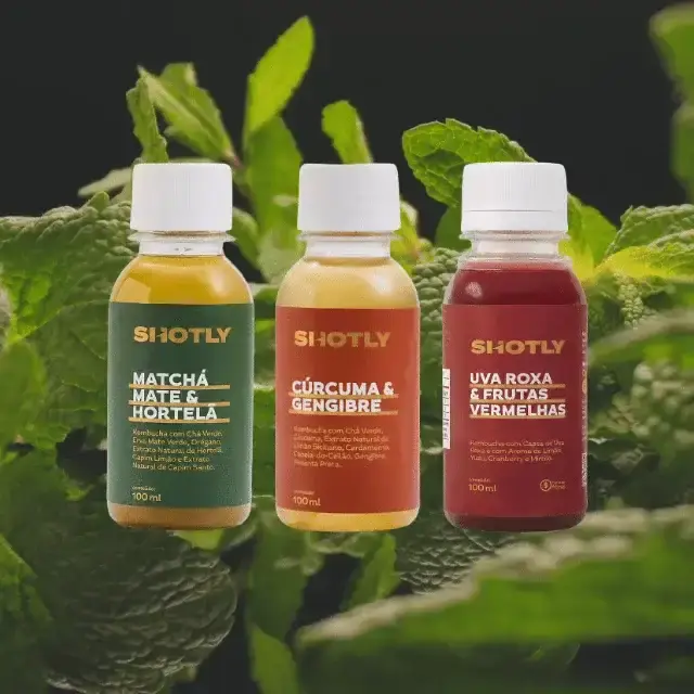 Kit Mix Shot Cúrcuma e Gengibre + Matchá-Mate e Hortelã + Shot Uva Roxa e Frutas Vermelhas — imagem 2 de 15