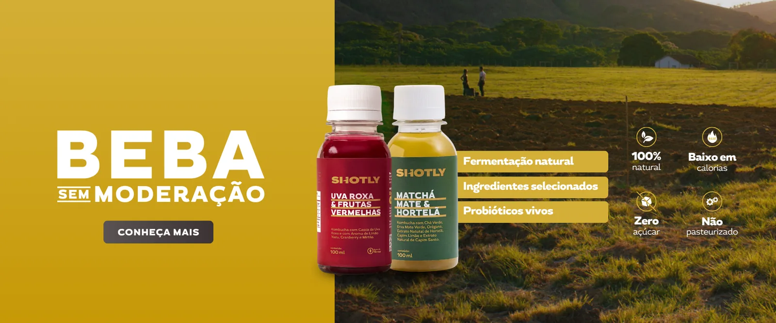 Beba sem moderação — fermentação natural, ingredientes selecionados e probióticos vivos. Conheça mais.