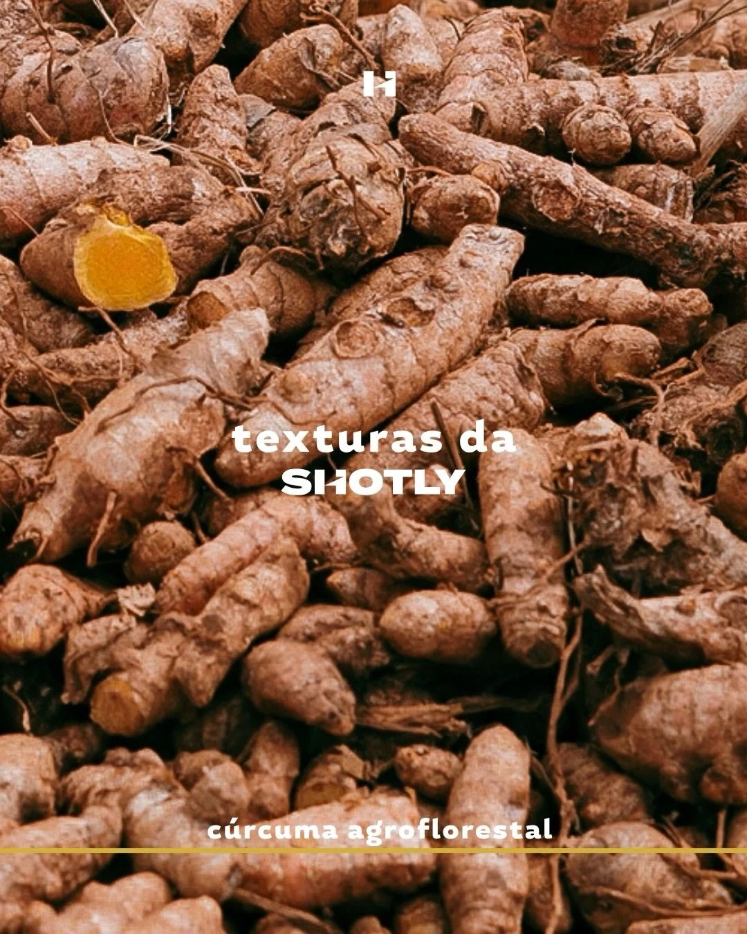 Publicação no Instagram: As texturas da shotly são as texturas da natureza.